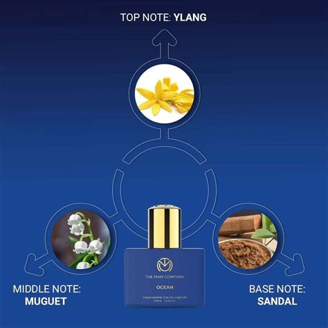 Buy THE MAN COMPANY OCEAN FRAGRANCE KIT FOR MEN WITH LONG LASTING SMELL ...