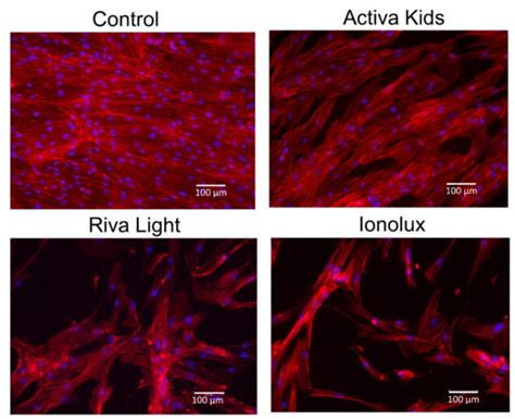 In Vitro Evaluation of the Biological Effects of ACTIVA Kids BioACTIVE ...