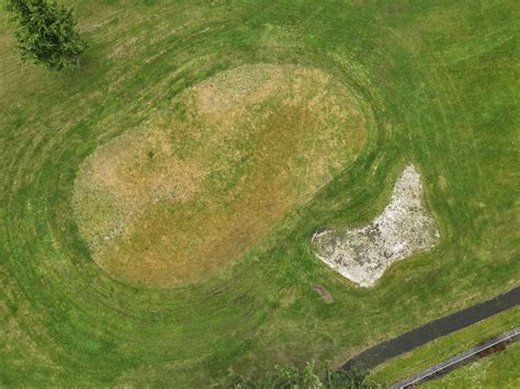 The Mook at Alderbrook after One Year. Oregon Golf Course