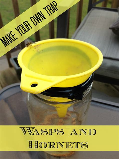 The Serene Swede: DIY Hornet and Wasp trap