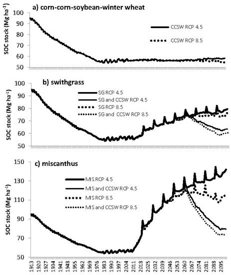 The Potential of Switchgrass and Miscanthus to Enhance Soil Organic ...
