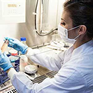 Academic Calendars | UTRGV