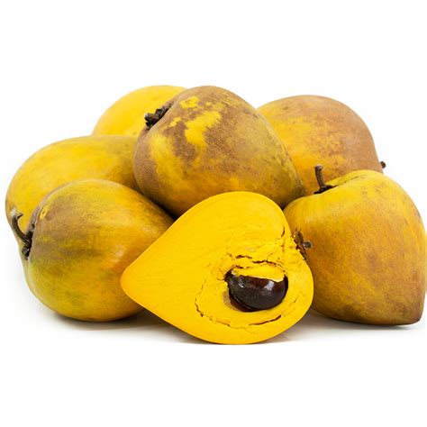 Egg Fruit Plants ( Pouteria Campechiana ) – veliyathgardens