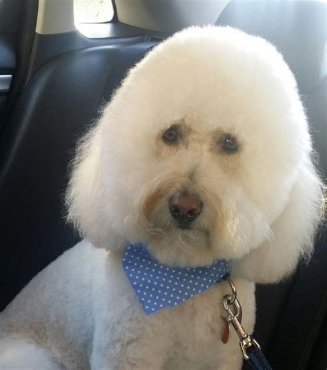 About Us – Bluepoint Wellness CT