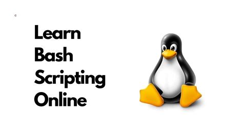 Linux Bash Scripting 的图像结果