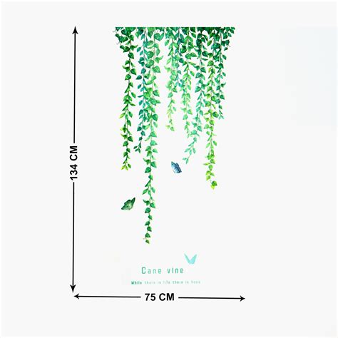 Buy Corsica Slate Creeper Wall Decal from Home Centre at just INR 399.0