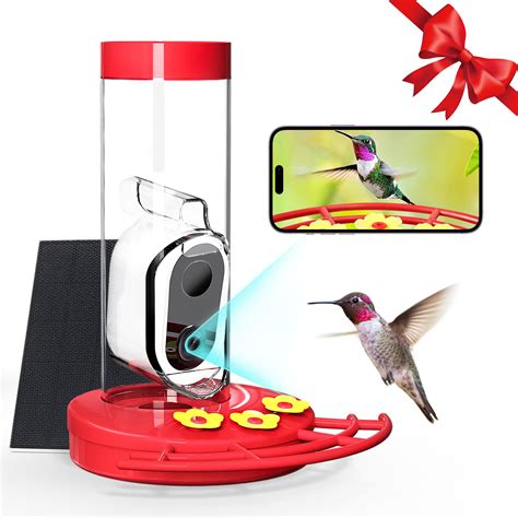Amazon.com: Hummingbird Feeder with Camera Solar-Powered, AI Identify ...
