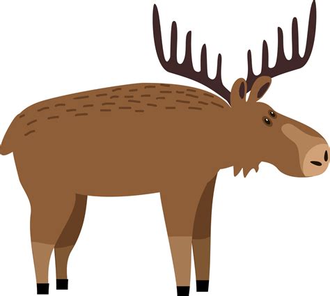 Cute moose flat illustration. Deer, reindeer with big antlers. Woodland ...