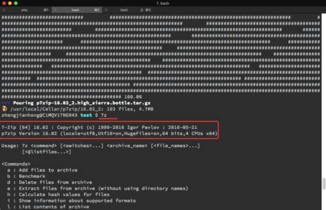 7Z.exe Application Error 的图像结果