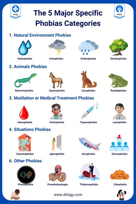 List Of Phobias
