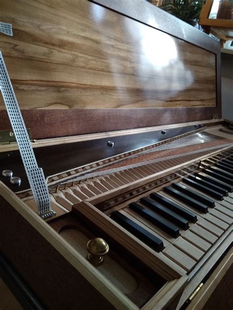 Rare String Instruments 的图像结果