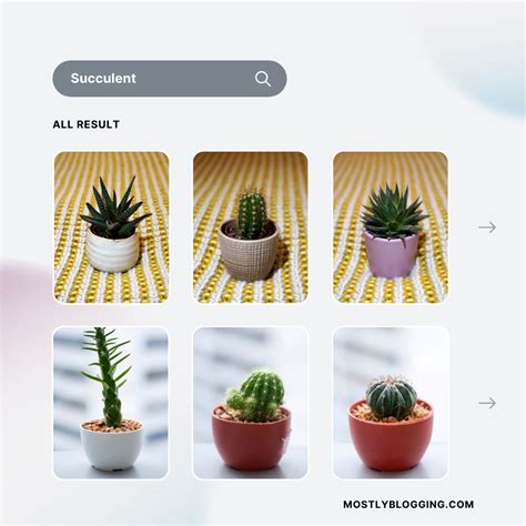 Twitter Reverse Image Search: Crack the Code with 2 Powerful Tools