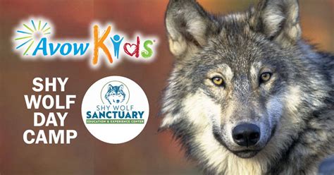 Avow Kids Shy Wolf Day Camp, 1095 Whippoorwill Lane, Naples, FL, United ...