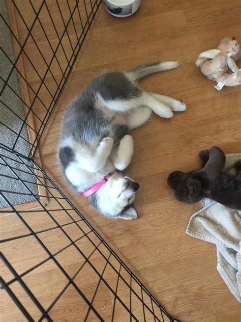 My Sierra when she was a baby! | Scrolller