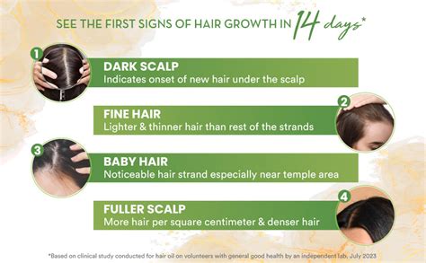 Buy WOW Skin Science Rosemary with Biotin Hair Growth Oil | Stimulates ...