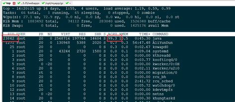Onbot Java PID 的图像结果