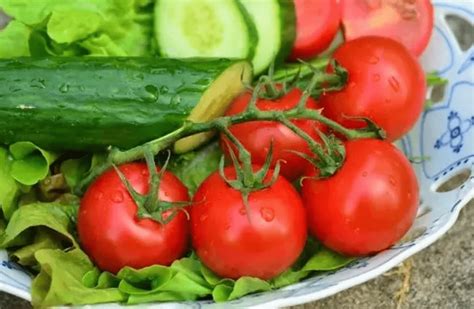 西红柿和黄瓜一起吃“相克”？辟谣！夏季常吃身体收获很多好处_食用_维生素_蔬菜