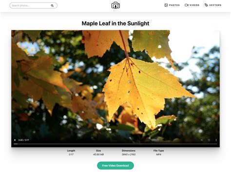 Can Top Free Stock 的图像结果