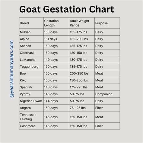 Goat Gestation Calculator - Pregnancy Calculator - YIHY