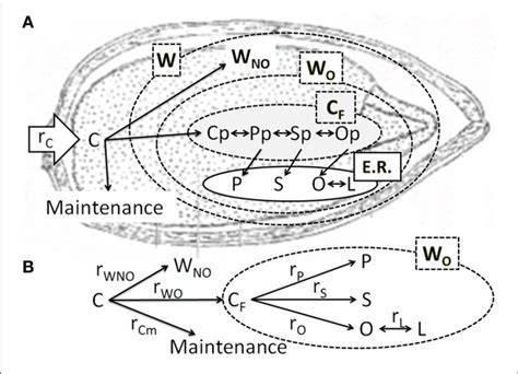 Image result for PVC Localization Cartoon