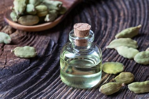 The Unique Characteristics of Cardamom Attar: A Guide to Its Aroma and ...