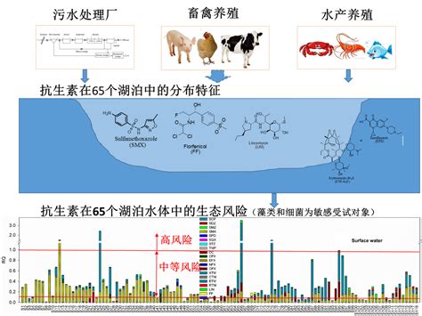 长江中下游湖泊水体中抗生素污染特征和生态风险研究取得进展----中国科学院