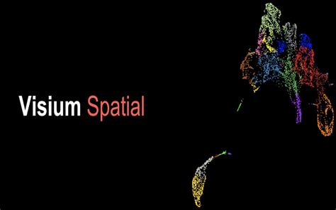 10X Spatial Transcriptomics 的图像结果
