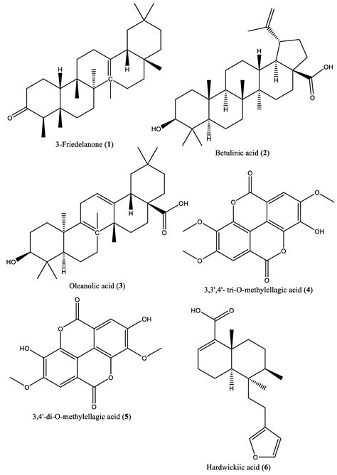 Ethnomedicinal Uses, Phytochemistry, and Pharmacological Activity of ...