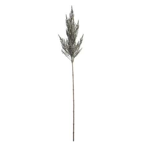 Grey Pampas Grass Stem, 32"