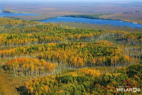 По хоженой тропе. Самые живописные экологические маршруты в белорусских ...