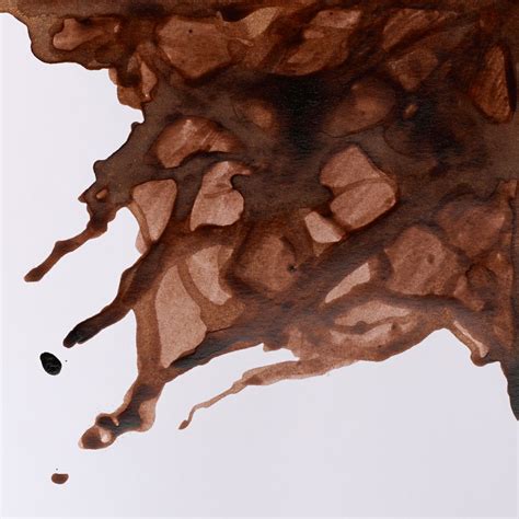 W&N Drawing Ink Peat Brown 14 ML | Art Lounge