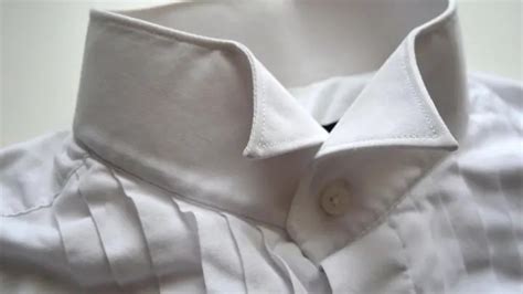 Collar Clothing 的图像结果