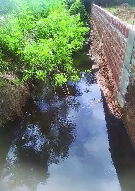 Agasaim fields checked after toxic flow, locals want source traced fast