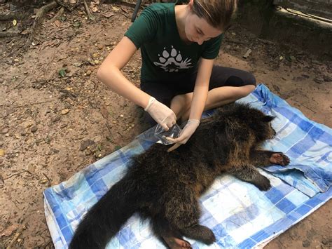 The Lao Conservation Trust for Wildlife