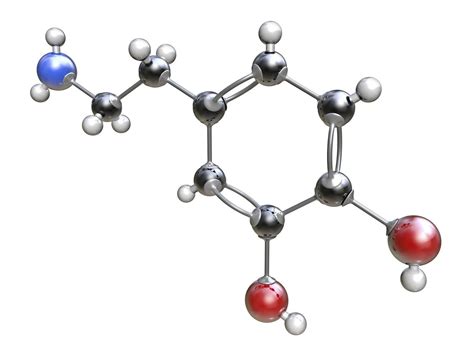 36 Facts About Bonding - Facts.net