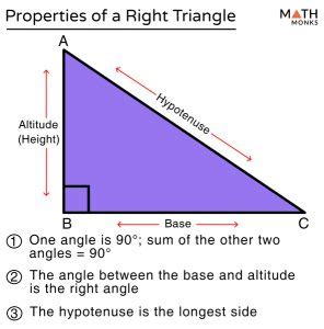 Image result for Triangle Class 9 Examples