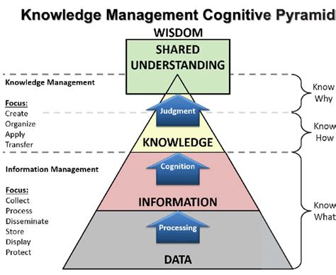 Knowledge Pyramid Army 的图像结果