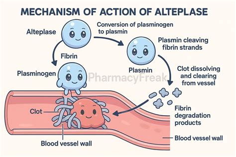 Mechanism of Action of Alteplase