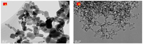 Effects of Zinc Oxide and Silicon Dioxide Nanoparticles on ...