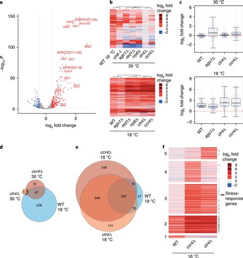 Transcriptome Plot 的图像结果