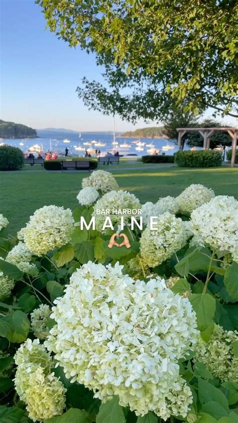 Vinalhaven Island, Maine- Summer Guide | Maine vacation, North america ...