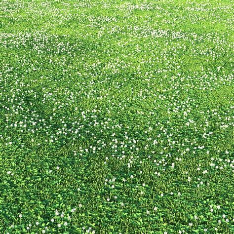 white Clover lawn 3D model | CGTrader