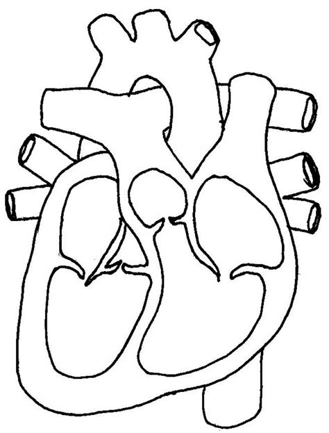 Free Blank Heart Diagram, Download Free Blank Heart Diagram png images ...