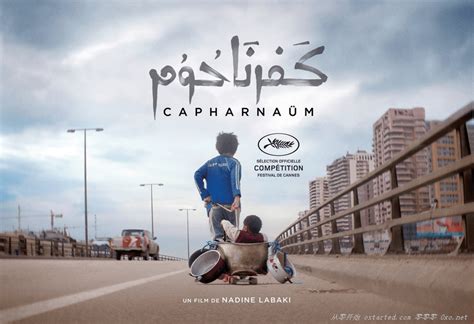 何以为家 1080p BT下载 Capernaum (2018) 外语中字 | 歲月留聲