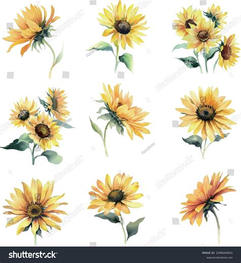 Watercolor Sunflower