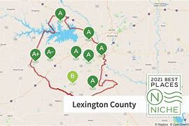 Image result for lexington county news