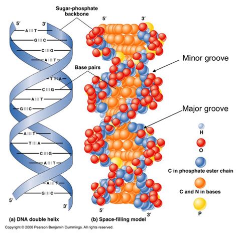 Image result for DNA Microarray Device