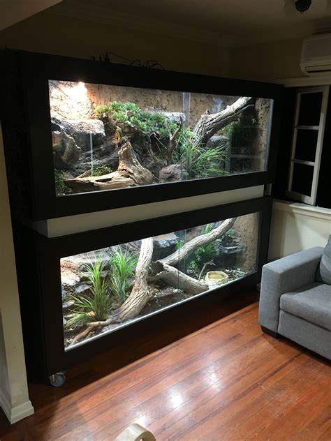 Pin by Jacob rodey on aquarium/vivarium | Snake terrarium, Reptile ...