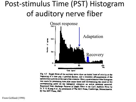 Post-Stimulus Time Histogram 的图像结果