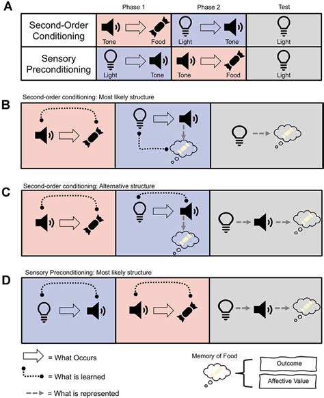 Frontiers | Higher-Order Conditioning and Dopamine: Charting a Path Forward